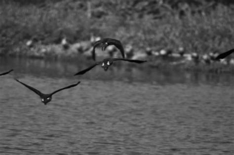 Diary 3: Santragachi Jheel - Tripoto