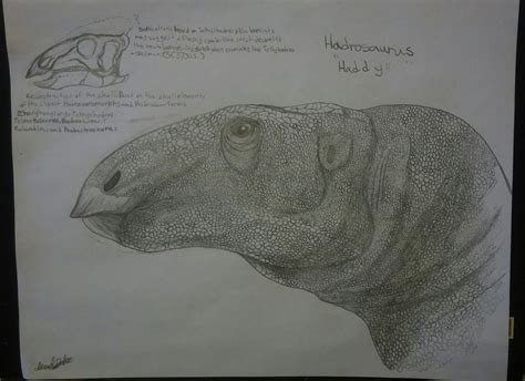 Hadrosaurus | Dinopedia | FANDOM powered by Wikia