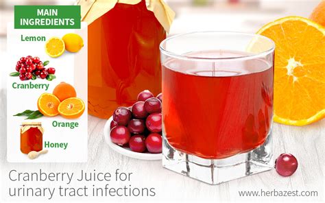 Cranberry Juice for Urinary Tract Infections | HerbaZest