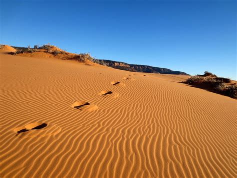 Journeys: Coral Pink Sand Dunes State Park, Zion and Bryce Canyon ...