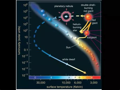 PPT - Supernovae and nucleosynthesis of elements > Fe PowerPoint ...