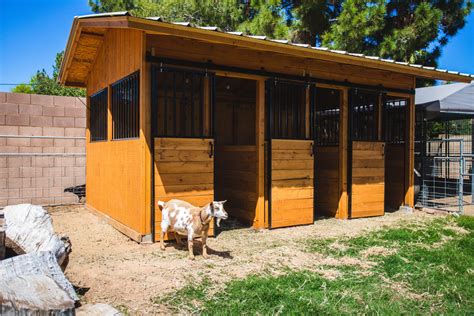 Stunning Photos Of Goat Barn Ideas Ideas | Lantarexa