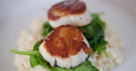 Scallops and risotto — johns journal