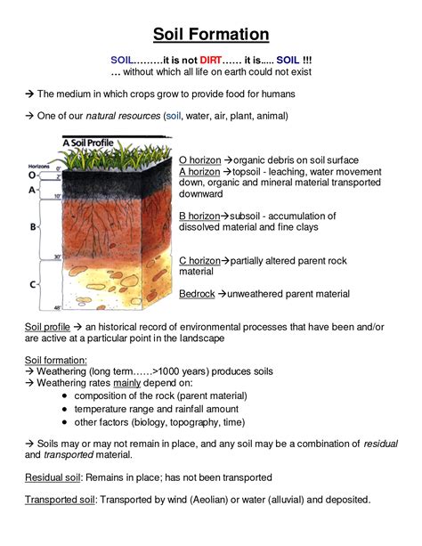 Soil Profile Worksheet | Projects to Try | Pinterest | Worksheets and Geography