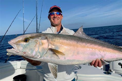 Florida Amberjack Season 2023 | Salty Knots Fishing | Fishing Tips