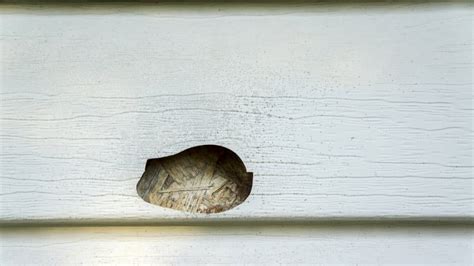 How to Repair Vinyl Siding | Repair Vinyl Siding Hole | Angi [Angie's List]