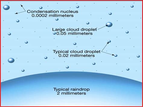 42++ Hygroscopic Nuclei Examples | Insende