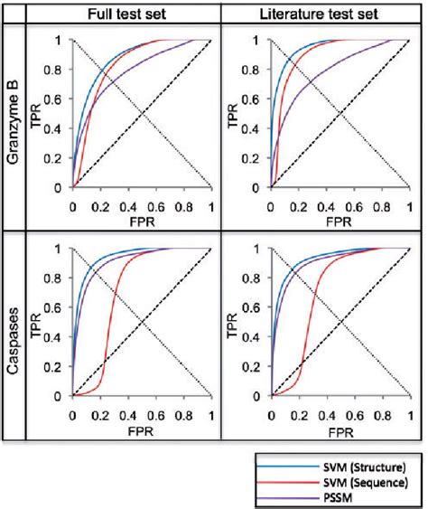 Figure 3 from Structural Bioinformatics Prediction of Protease Substrates Using Sequence and ...