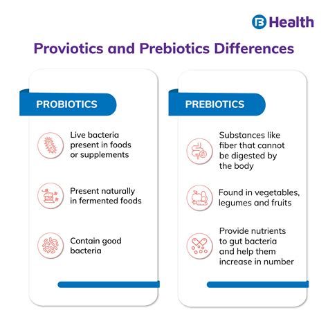 Prebiotics and Probiotics: Uses, Benefits & Side effects