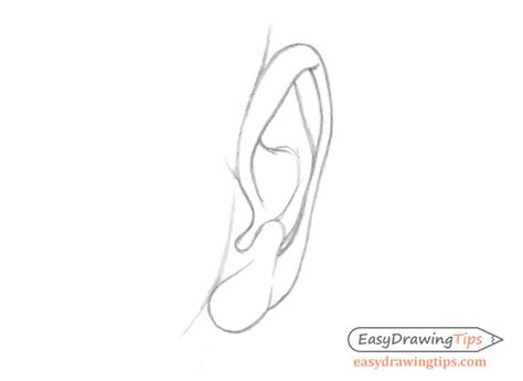 How to Draw an Ear From the Front Step by Step - EasyDrawingTips