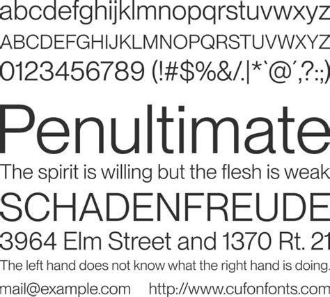 PP Neue Montreal Font Family : Download Free for Desktop & Webfont