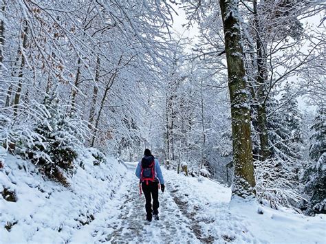 Consejos para hacer senderismo en invierno - Latinos Multicultural Magazine