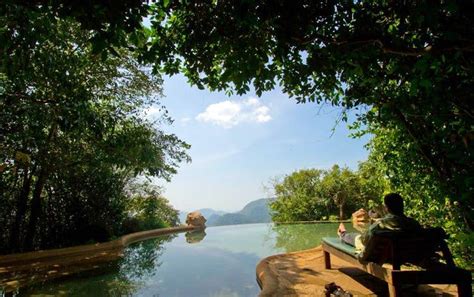 Wildernest Nature Resort In Goa | LBB, Bangalore