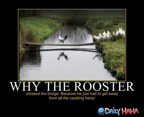 Rooster Quotes. QuotesGram