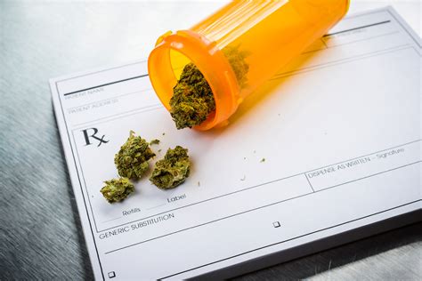 Medical marijuana may trigger substance abuse — Harvard Gazette