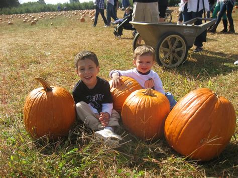 The Newman Family: Pumpkin and Apple Picking