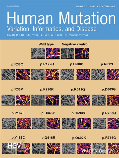 (PDF) Coagulation Factor XIIIA Subunit Missense Mutations Affect Structure and Function at the ...