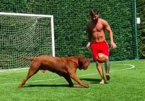 WATCH: Lionel Messi plays football with his dog Hulk, fans react to ...