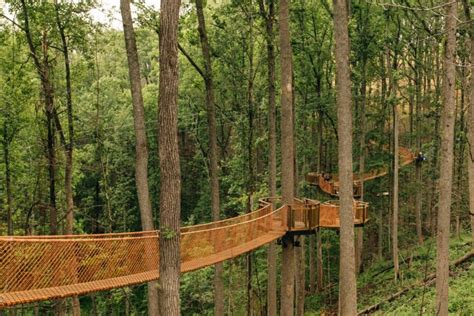 Directory of Smoky Mountain Attractions | Tree canopy, Smoky mountains attractions, Garden canopy