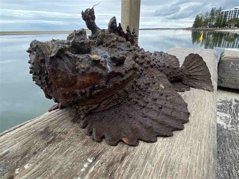 Danger lurks under the water at popular kids' swim spot