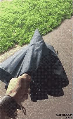 Umbrella GIF - Find & Share on GIPHY