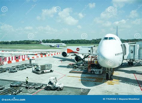 Unloading Luggage from Plane Editorial Stock Image - Image of international, passenger: 77639354