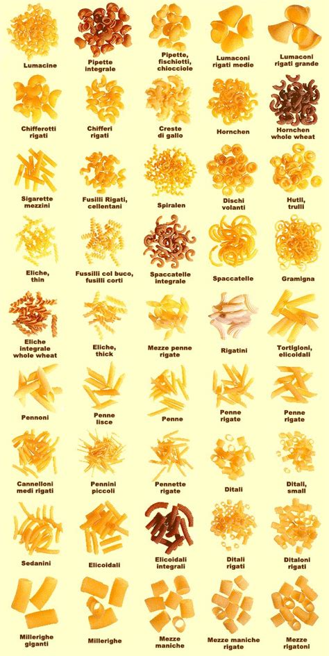 30 best PASTA SHAPES images on Pinterest | Pasta shapes, Pasta and ...