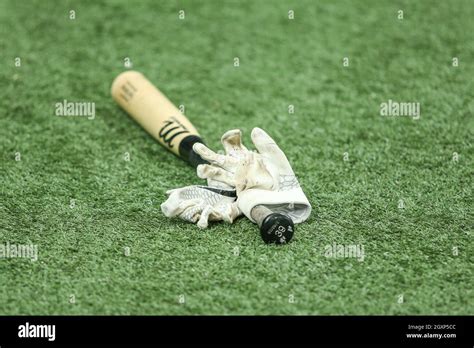 St. Petersburg, FL. USA; The batting gloves and bat of Tampa Bay Rays ...