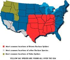 Range map for the Black widow spider | Wildlife of BC | Pinterest | Black widow spider, Black ...