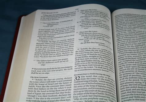 Crossway ESV Large Print Thinline Reference Bible Review