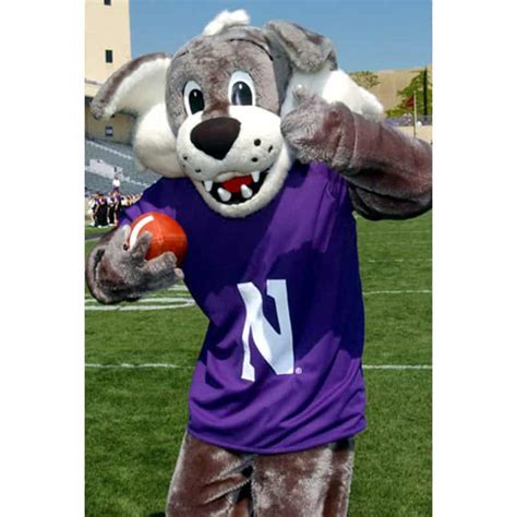 Northwestern Wildcats Postcard Willie the Wildcat inside Ryan Field NU0002