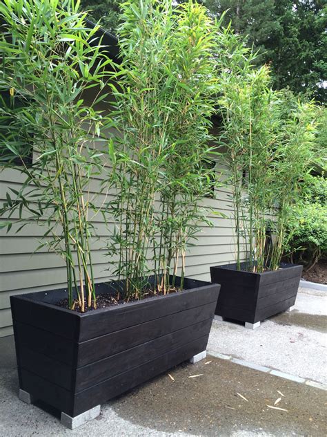 Bamboo Planters