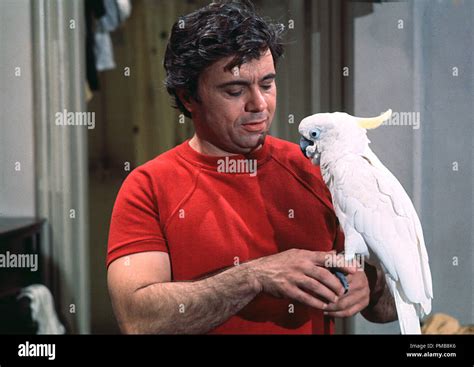 Robert Blake, "Baretta" circa 1975 ABC File Reference # 32337 257THA ...