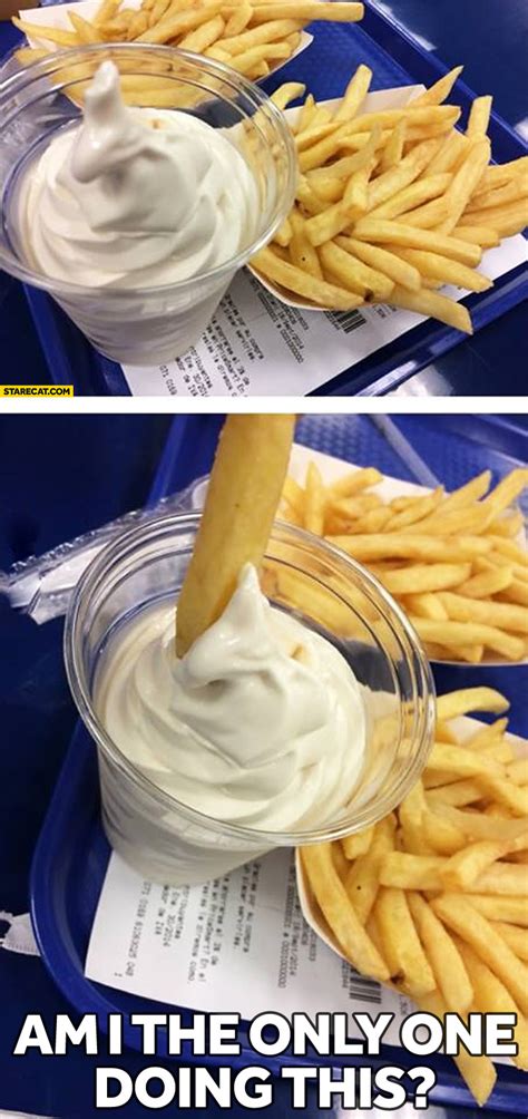 French fries in ice cream | StareCat.com