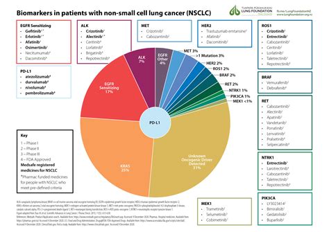 Lung cancer biomarkers inform treatment options | Lung Foundation NZ