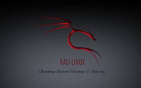 🔥 [90+] Kali Linux Wallpapers HD | WallpaperSafari