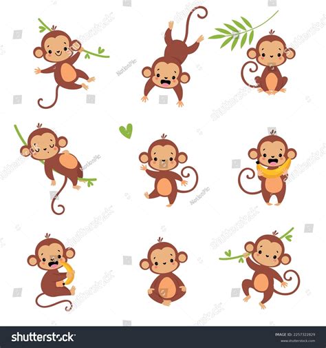 726,306 Monkey Images, Stock Photos, 3D objects, & Vectors | Shutterstock