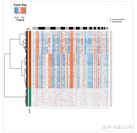 10X单细胞（10X空间转录组）CNV分析回顾之CopyKAT - 知乎