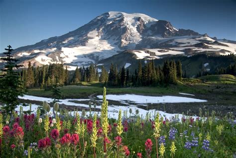 12 Cozy Cabins near Mt. Rainier (+ Airbnbs with Hot Tubs!)