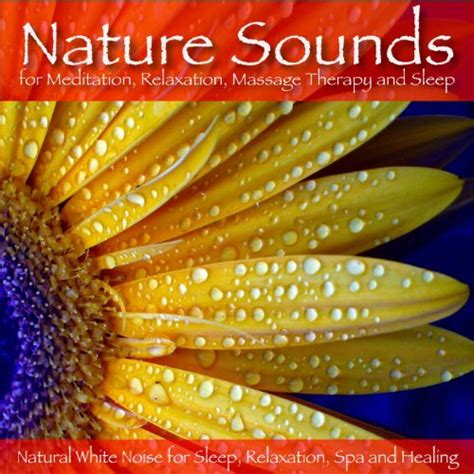 Amazon.com: Relaxing Spa Sounds (Gentle Instrumental Music and Pure Nature Sounds for Relaxation ...