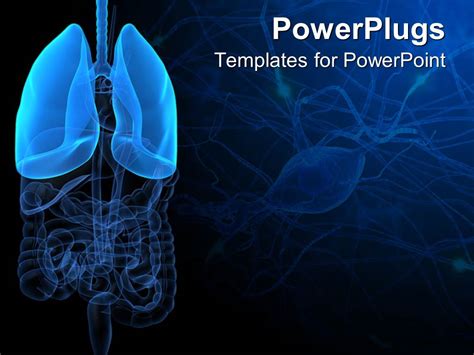 PowerPoint Template: 3D representation of lungs and human anatomy with ...