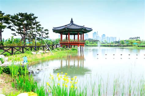 Daejeon Travel Guide - What You Need to Know to Plan a Trip to Daejeon ...