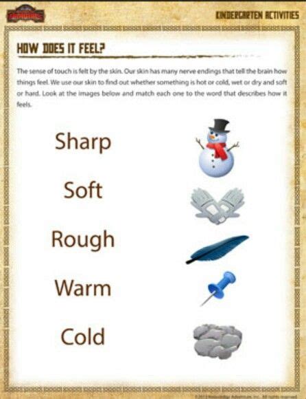 Texture worksheet | Kindergarten worksheets printable, Christmas math worksheets, Kindergarten ...