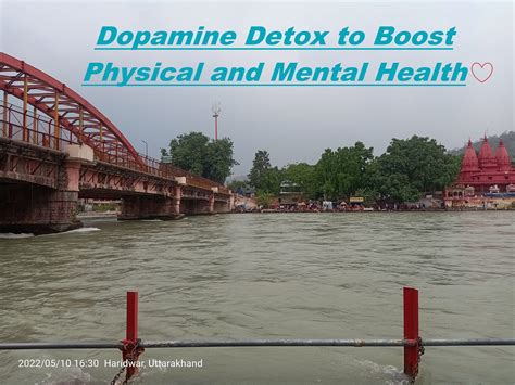 Dopamine Detox to Boost Physical and Mental Health | by Abhay Gautam ...