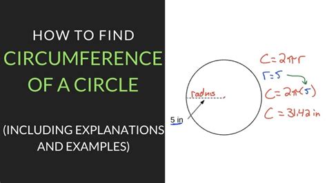 How To Find The Circumference Of A Circle: Definition, Examples, Worksheets