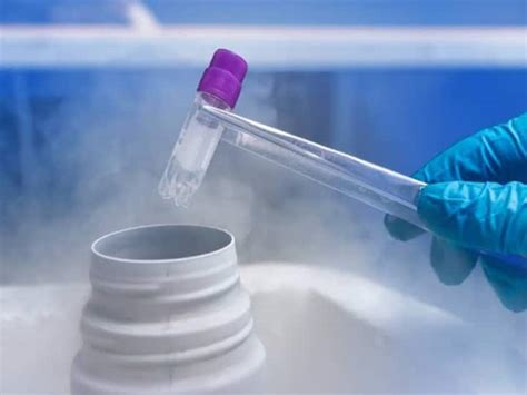 What is embryo freezing process, what is the process