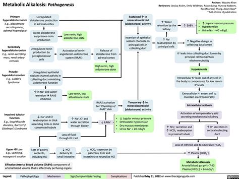 Metabolic Alkalosis: Pathogenesis | Calgary Guide