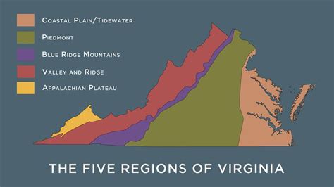 What Are the Five Physical Regions of Virginia’s Geography? | Virginia studies, Virginia ...