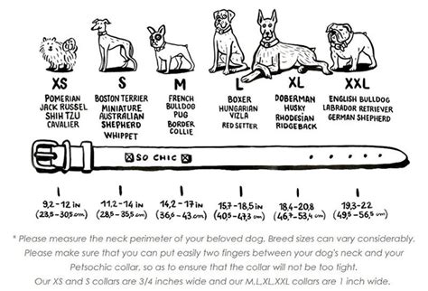 Dog Collar Size Chart Cm | ubicaciondepersonas.cdmx.gob.mx