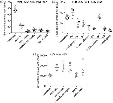 D-serine distribution in the human CNS. The concentrations of D-serine ...